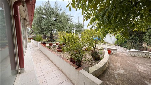 Trullo Con Alcove Con Bagno e Angolo Cottura.Terreno di 4.000 mq.